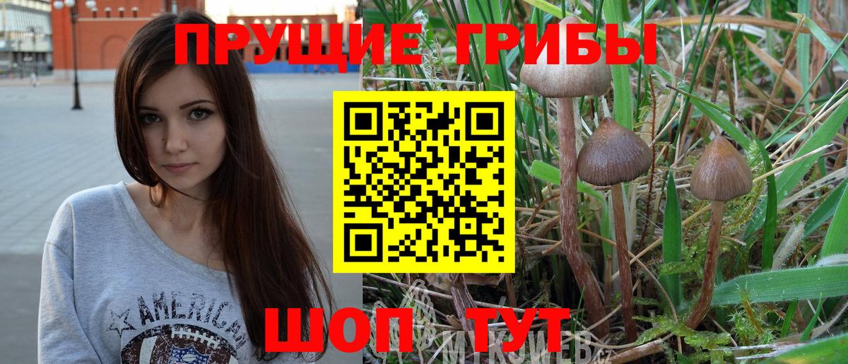 Псилоцибиновые грибы Psilocybine cubensis  Вход с VPN  Миасс 
